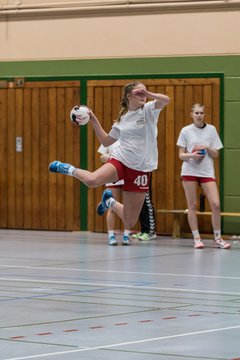 Bild 117 - Damen HSG Kremperheide/M�nsterdorf - Suchsdorfer SV : Ergebnis: 39:22